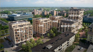 Overzicht_verschillende torens